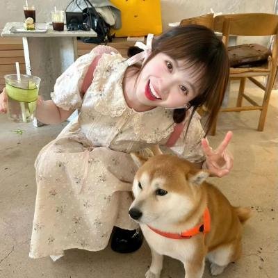 红楼二尤